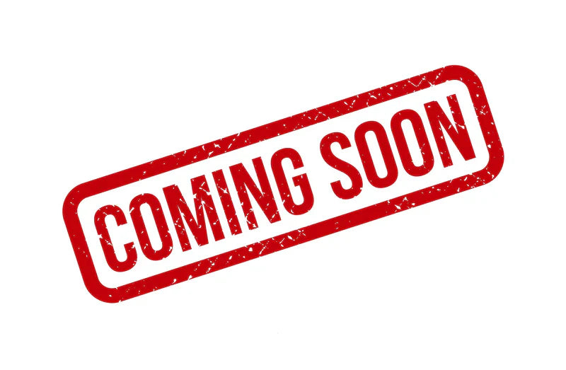 Suede Leather Belt - Black/Gold