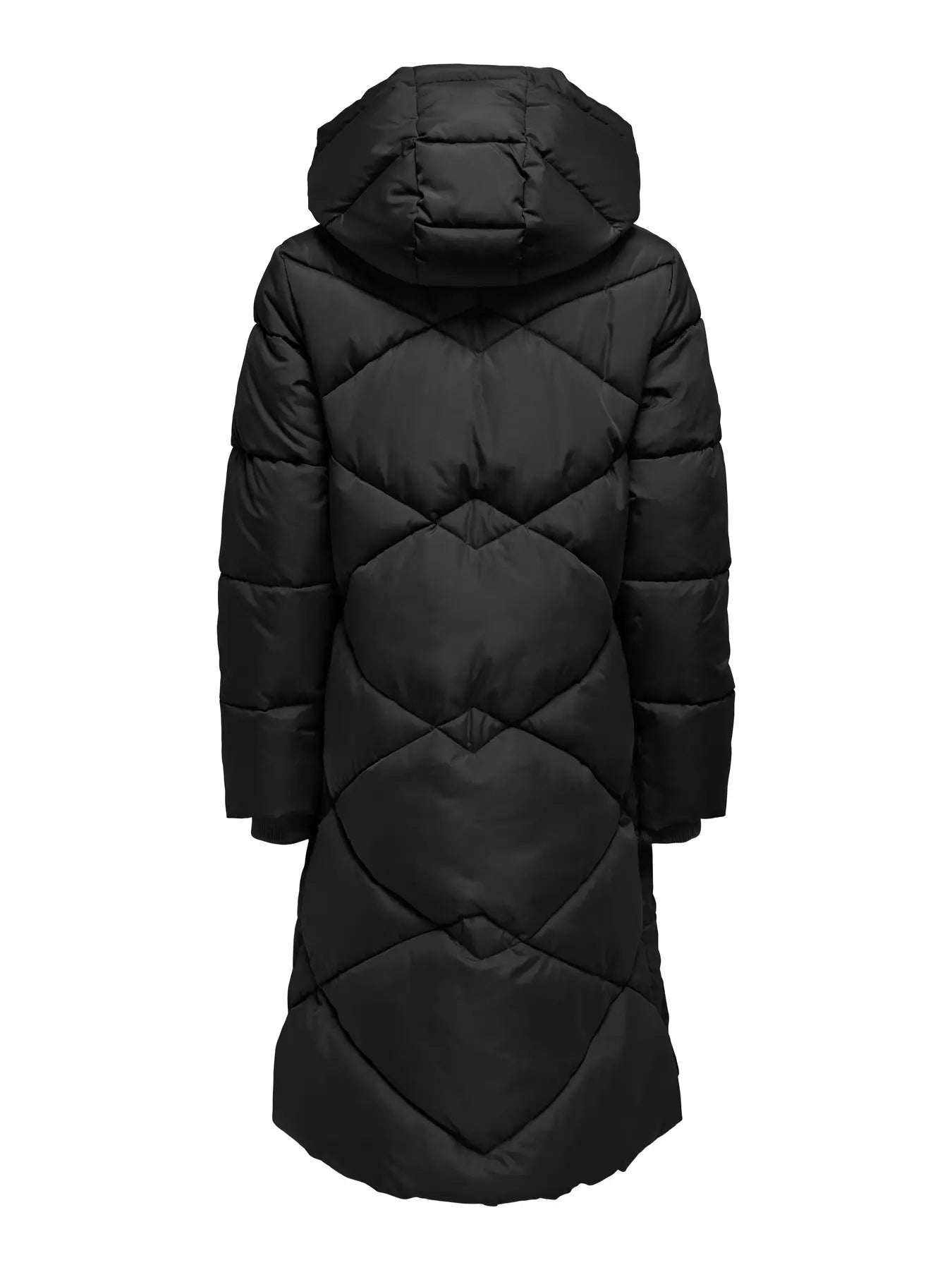 VISTA LIFE PADDED HOOD JACKET - Black