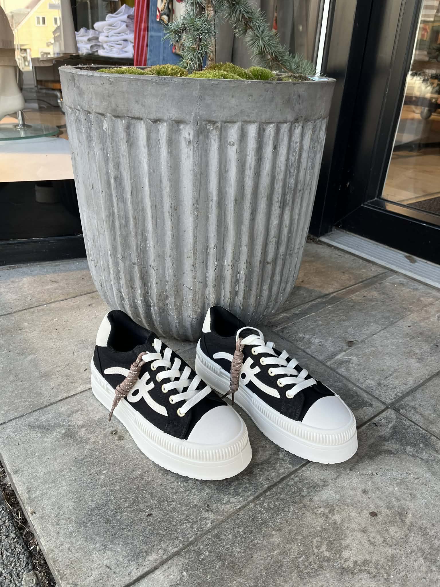 Stella Sneaks - Black