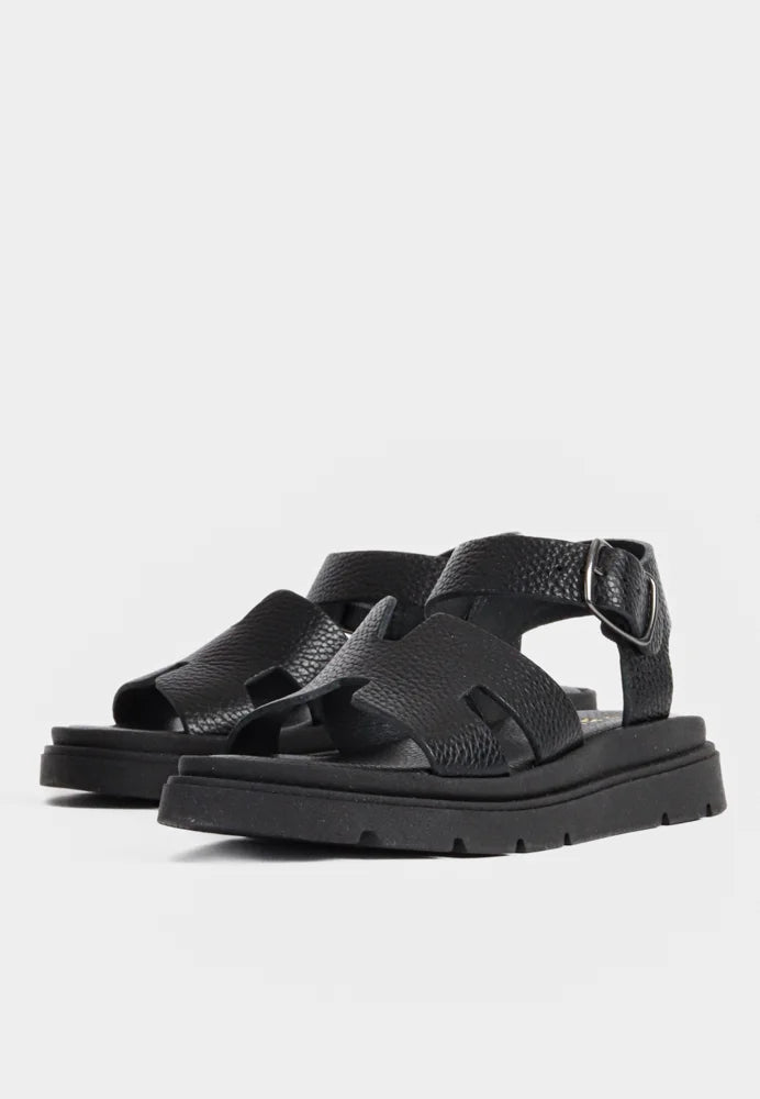 Cindy Sandaler Black