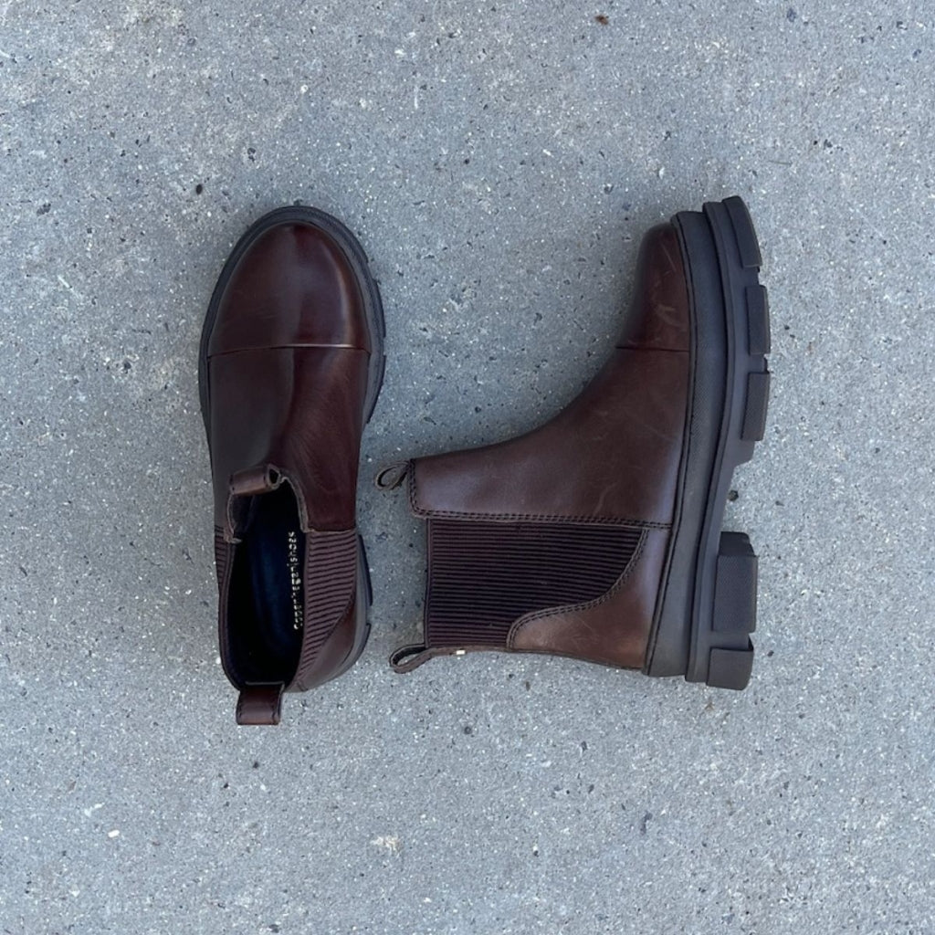 The Celeste LOW - Dark Brown