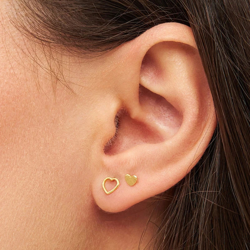Family Love Øreringe par børstet - Gold plated