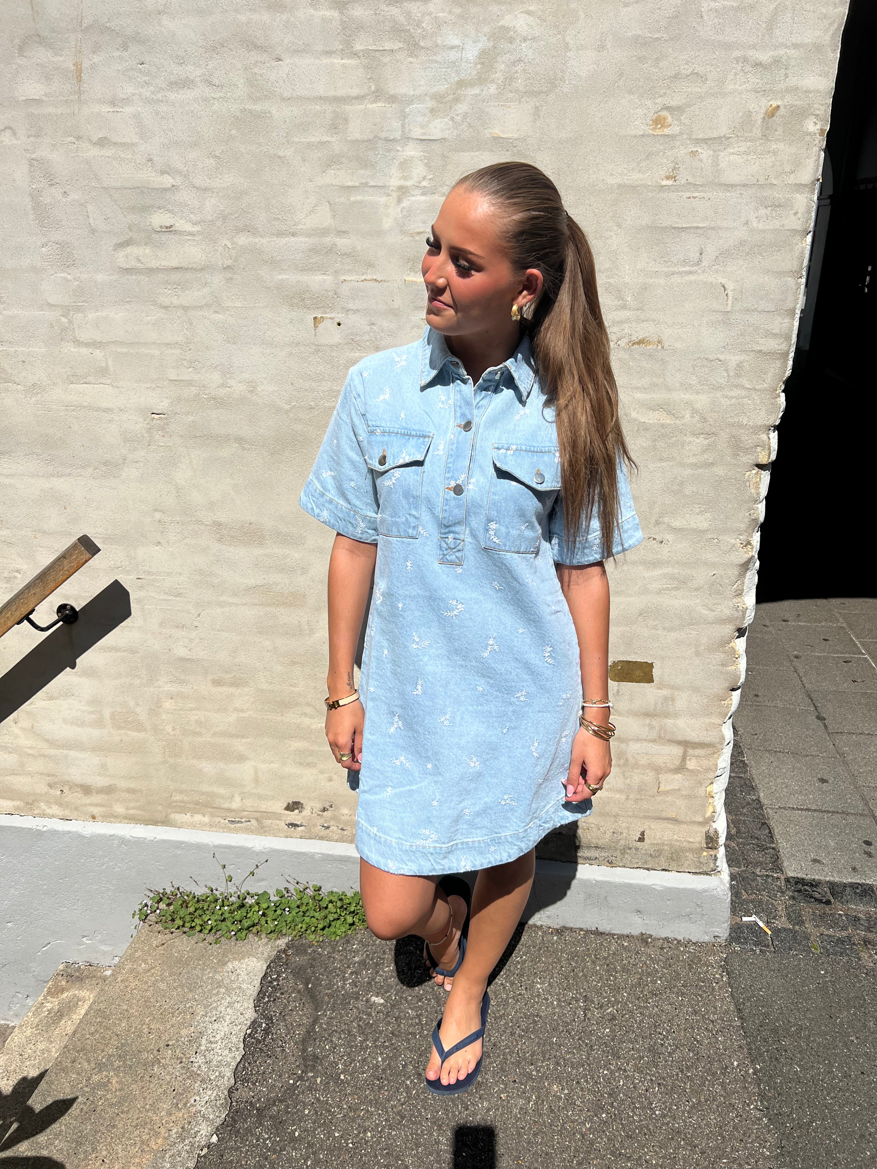 Saras Denim Emb Dress light blue