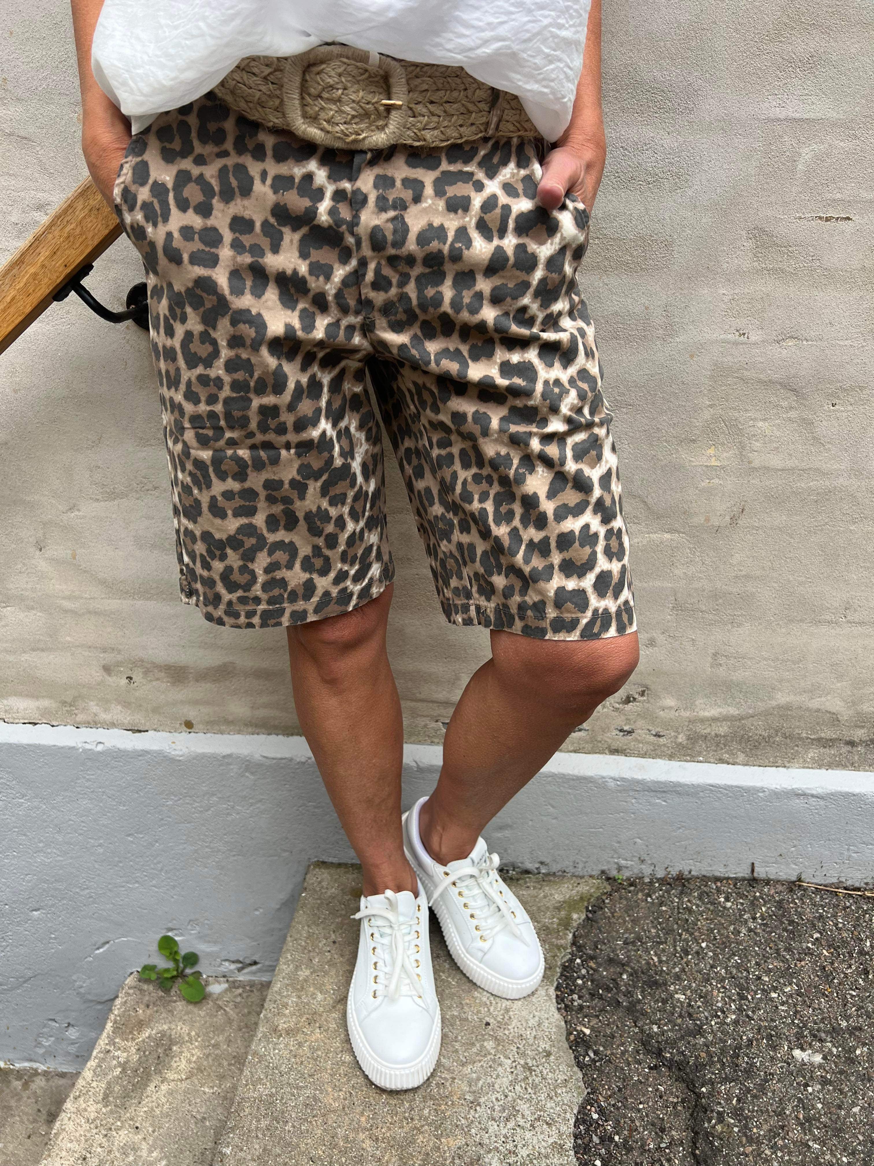 Box canvas shorts leopard