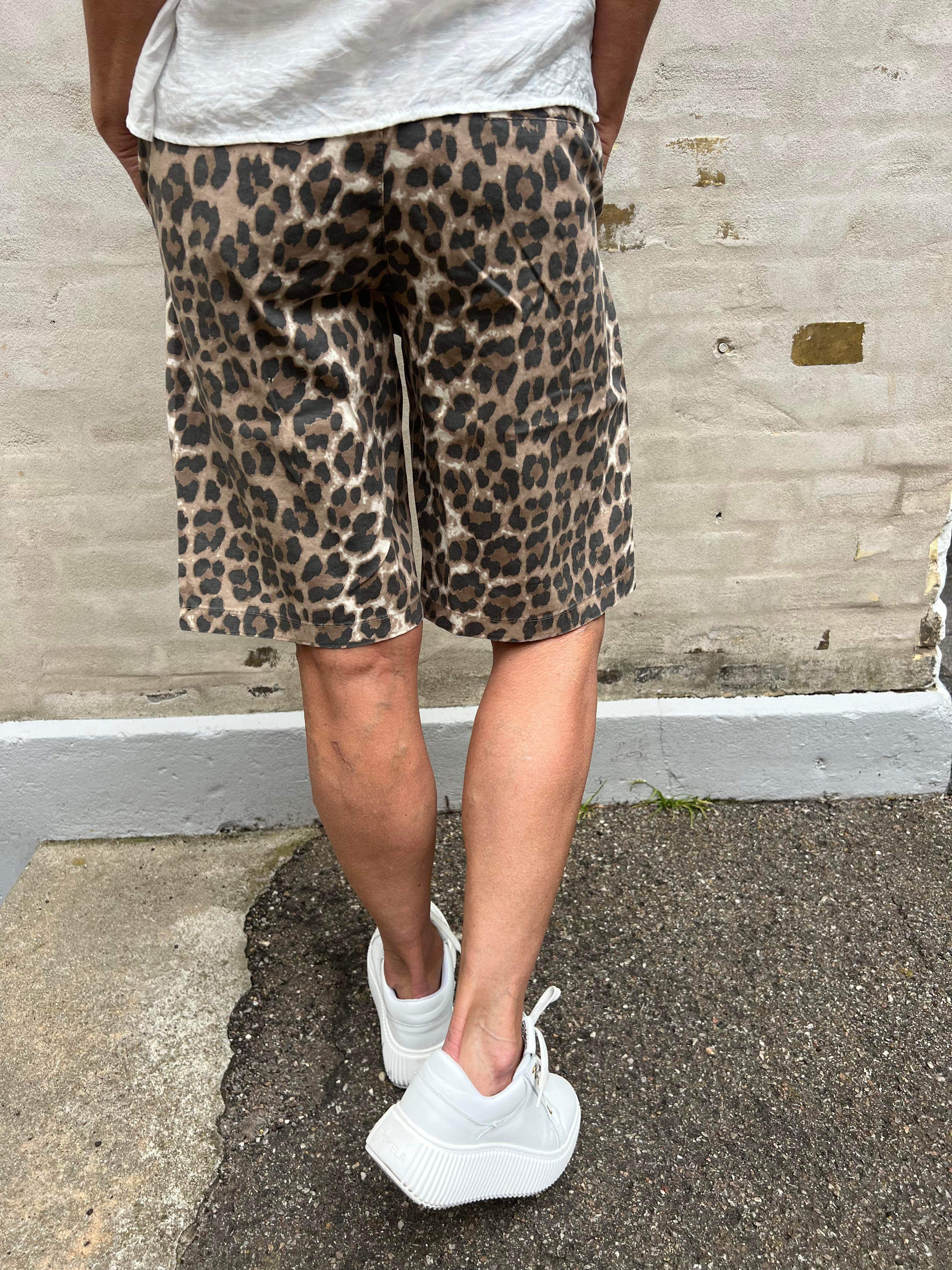 Box canvas shorts leopard