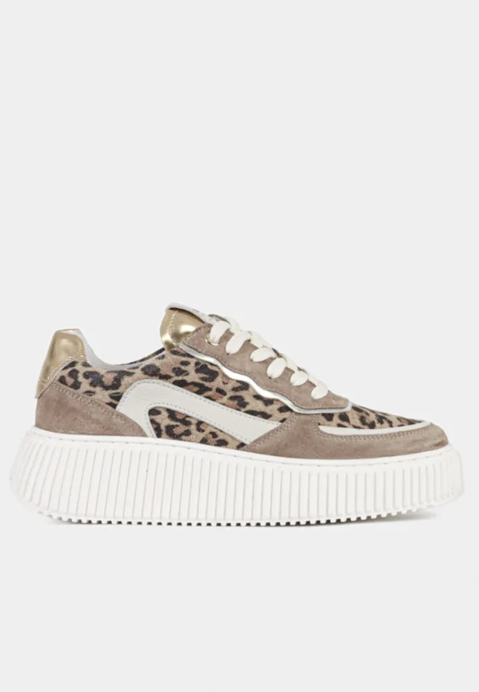 Peak sneaker leopard