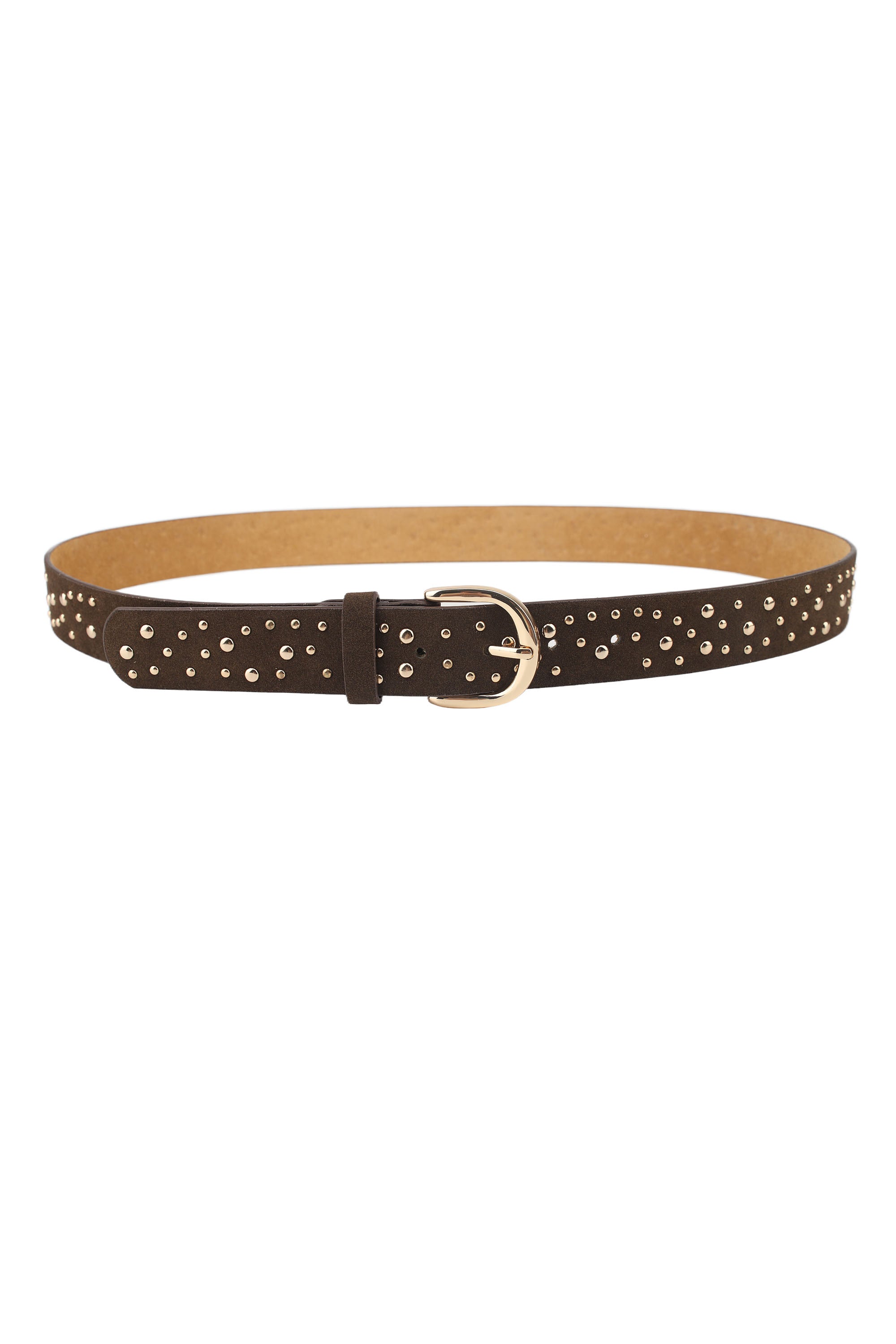 Suede Belt W Gold Studs - Marron