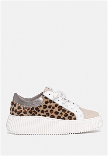 Court sneakers leopard